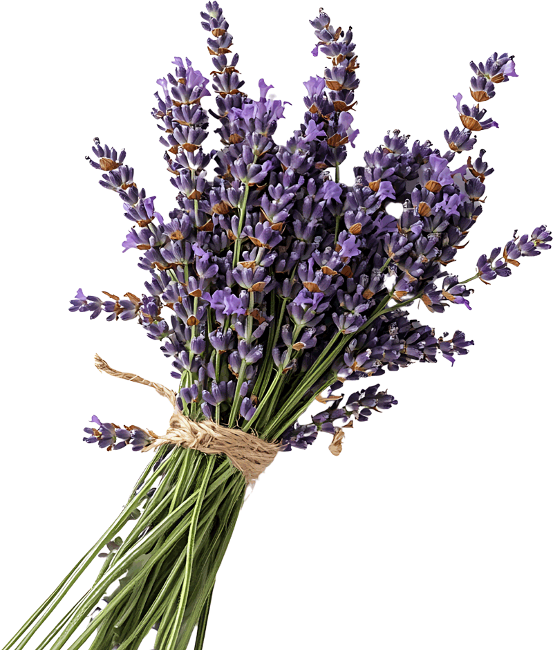 Bouquet of purple flowers